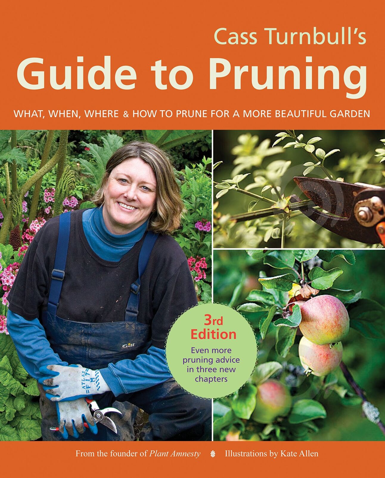 Guide to Pruning
